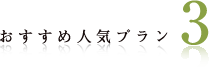 おすすめ人気プラン３