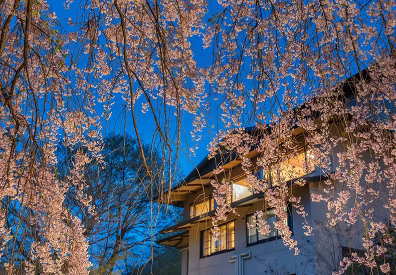 日本庭園 イメージ