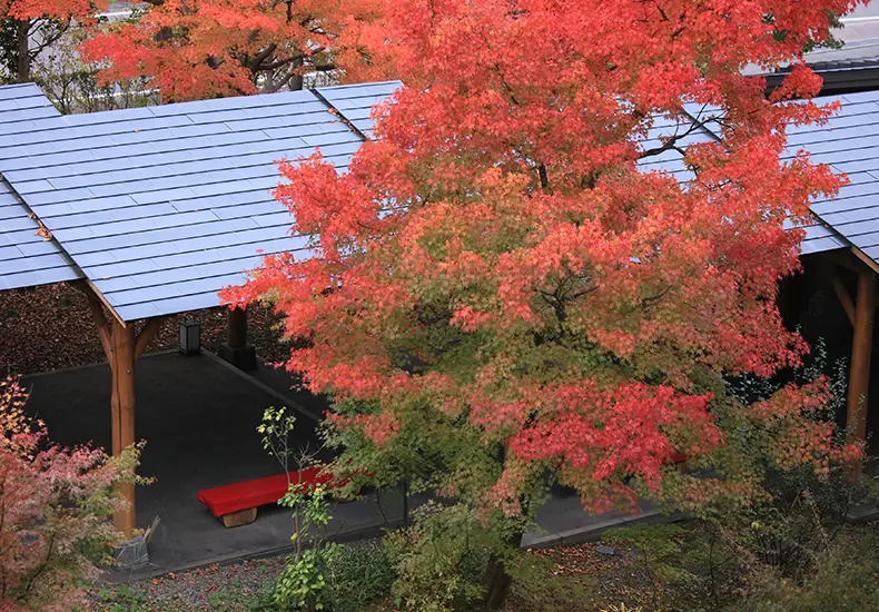日本庭園 イメージ