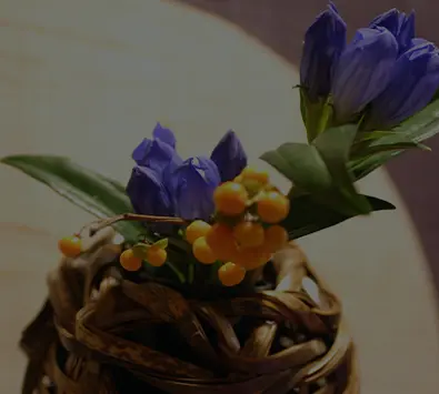 花 イメージ