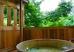 末摘花 サムネイル画像